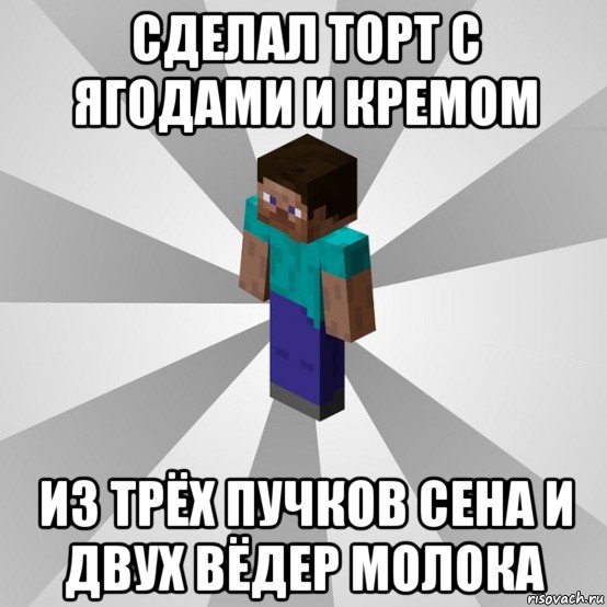 сделал торт с ягодами и кремом из трёх пучков сена и двух вёдер молока, Мем Типичный игрок Minecraft