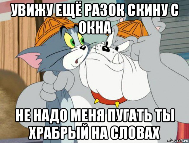 увижу ещё разок скину с окна не надо меня пугать ты храбрый на словах, Мем том и джерри