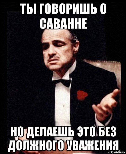 ты говоришь о саванне но делаешь это без должного уважения, Мем ты делаешь это без уважения