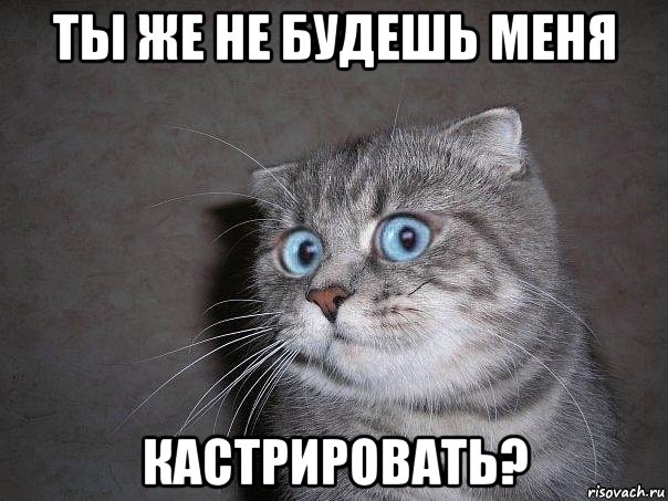 ты же не будешь меня кастрировать?