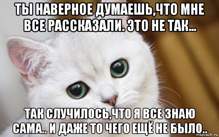 ты наверное думаешь,что мне все рассказали. это не так... так случилось,что я все знаю сама.. и даже то чего ещё не было.., Мем  В мире грустит один котик