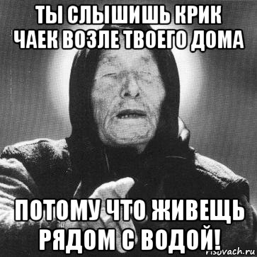 ты слышишь крик чаек возле твоего дома потому что живещь рядом с водой!, Мем Ванга