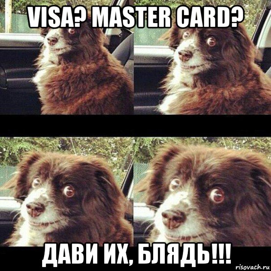 visa? master card? дави их, блядь!!!