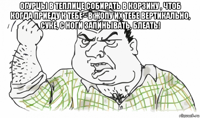 огурцы в теплице собирать в корзину , чтоб когда приеду к тебе - в жопу их тебе вертикально, суке, с ноги запинывать, блеать! , Мем Будь мужиком