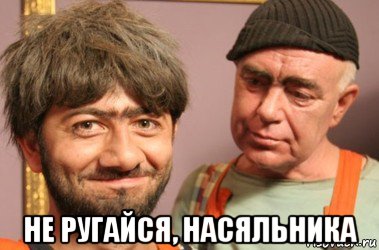  не ругайся, насяльника