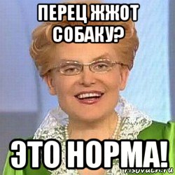 перец жжот собаку? это норма!