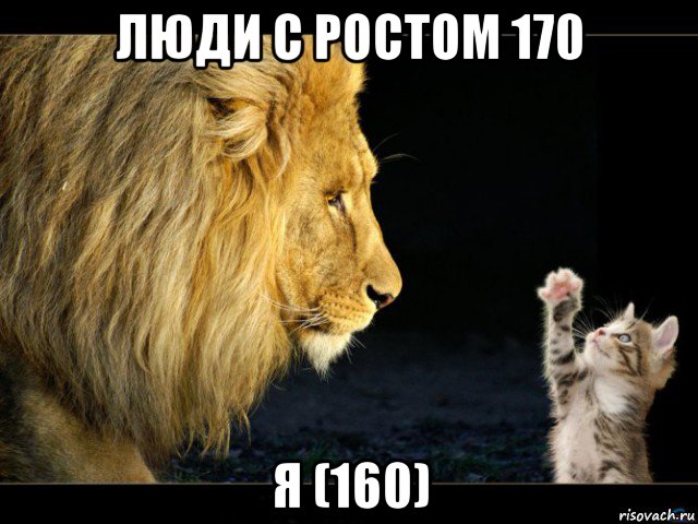 люди с ростом 170 я (160)