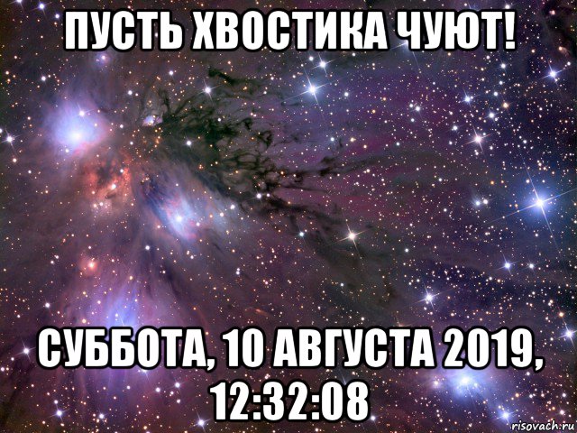 пусть хвостика чуют! суббота, 10 августа 2019, 12:32:08, Мем Космос