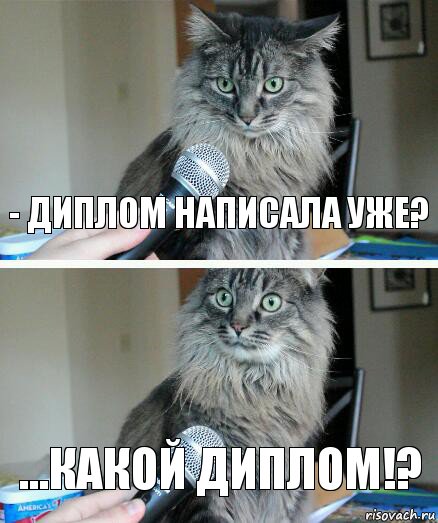 - Диплом написала уже? ...какой диплом!?