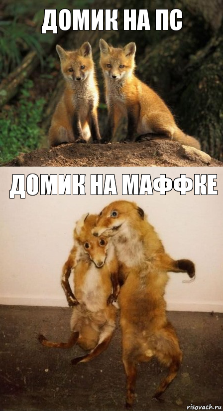 Домик на ПС Домик на маффке