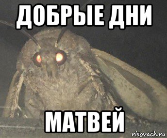 добрые дни матвей