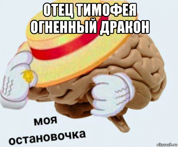 отец тимофея огненный дракон , Мем   Моя остановочка мозг