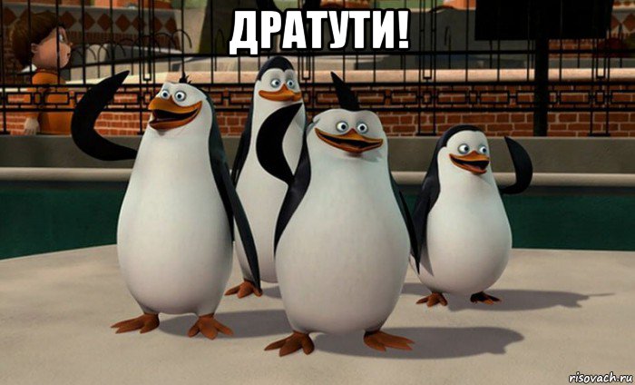 дратути! 