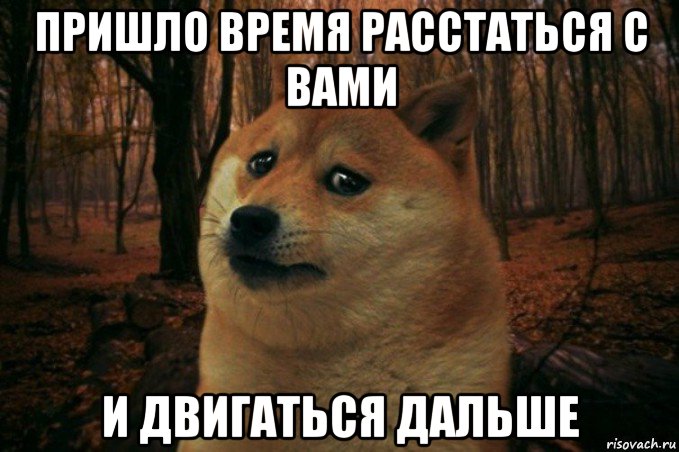 пришло время расстаться с вами и двигаться дальше, Мем SAD DOGE