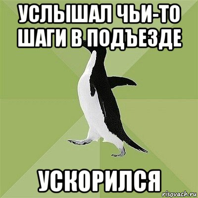 услышал чьи-то шаги в подъезде ускорился, Мем  Среднестатистический пингвин