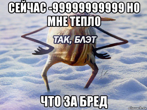 сейчас -99999999999 но мне тепло что за бред, Мем  Так блэт птица с руками