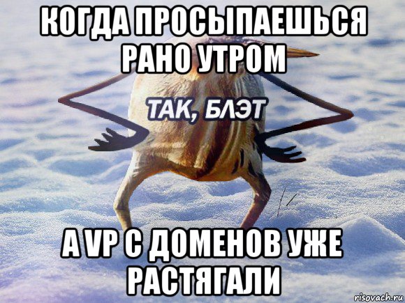 когда просыпаешься рано утром а vp с доменов уже растягали, Мем  Так блэт птица с руками