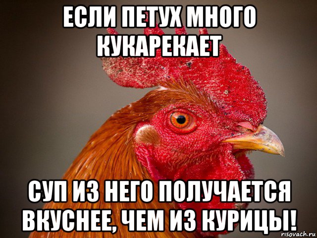 Суп из петуха выражения