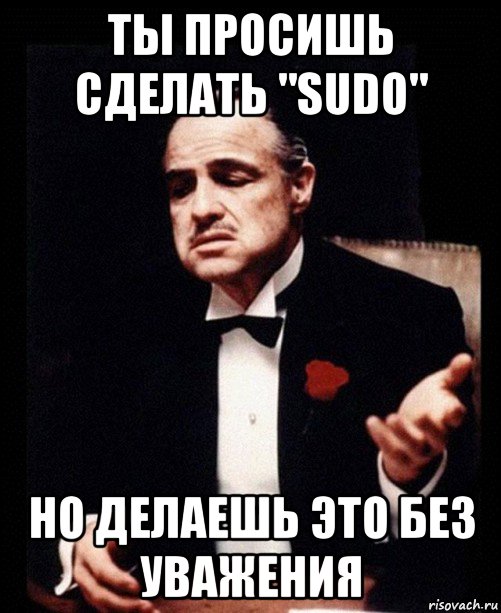 ты просишь сделать "sudo" но делаешь это без уважения, Мем ты делаешь это без уважения