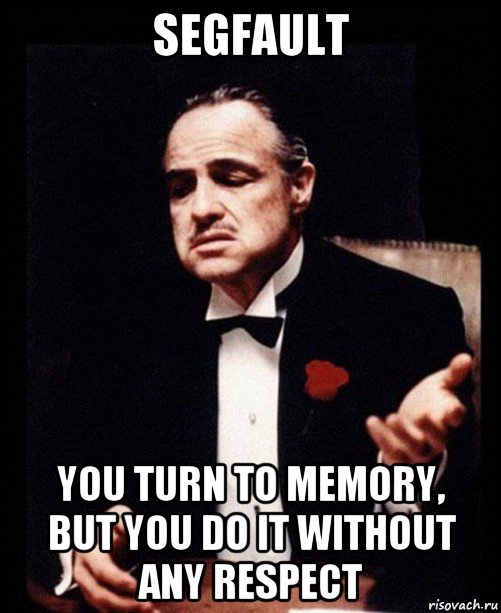 segfault you turn to memory, but you do it without any respect