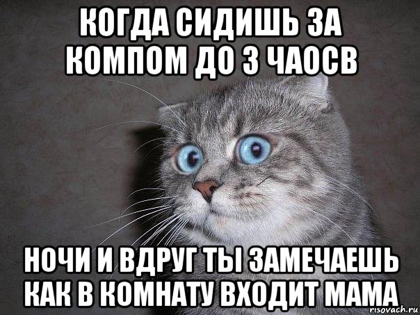 когда сидишь за компом до 3 чаосв ночи и вдруг ты замечаешь как в комнату входит мама