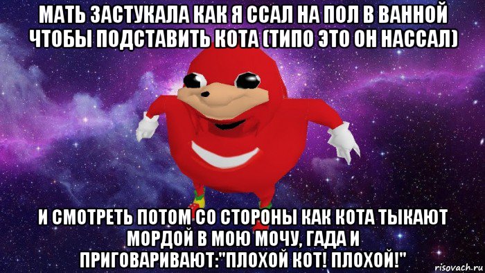 мать застукала как я ссал на пол в ванной чтобы подставить кота (типо это он нассал) и смотреть потом со стороны как кота тыкают мордой в мою мочу, гада и приговаривают:"плохой кот! плохой!", Мем Угандский Наклз