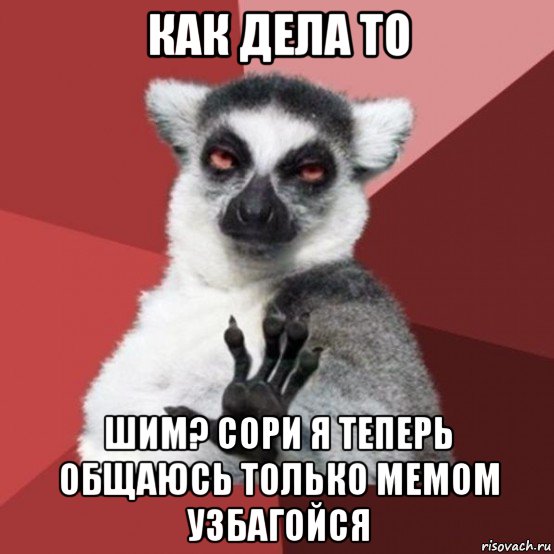 как дела то шим? сори я теперь общаюсь только мемом узбагойся, Мем Узбагойзя