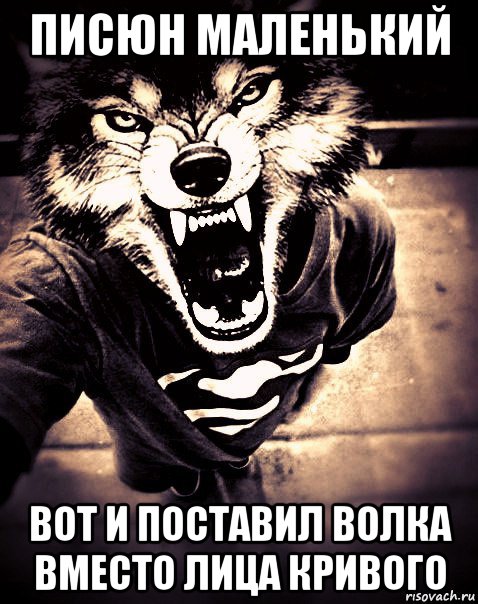 Мем про писюн собаки