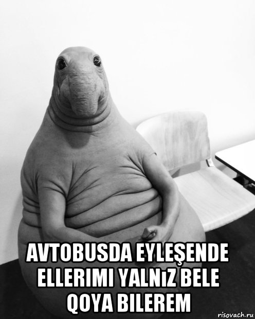  avtobusda eyleşende ellerimi yalnız bele qoya bilerem, Мем  Ждун