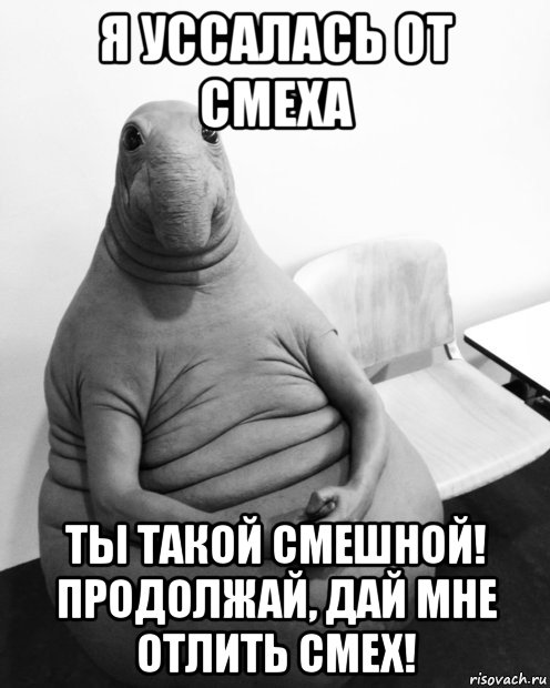 я уссалась от смеха ты такой смешной! продолжай, дай мне отлить смех!, Мем  Ждун