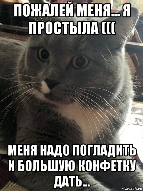Пожалей меня. Картинки чтоб меня пожалели. Надо погладить. Меня надо пожалеть.