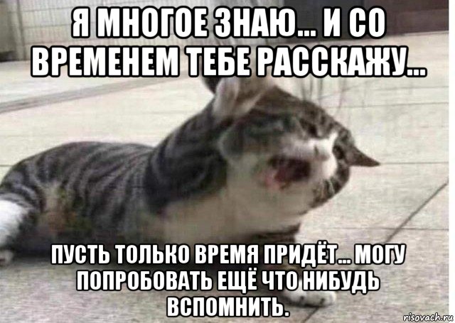 Можно приходи. Я буду дома вовремя Мем. Дома буду вовремя. Пусть только рыпнуться. Я буду дома вовремя Мем оригинал.