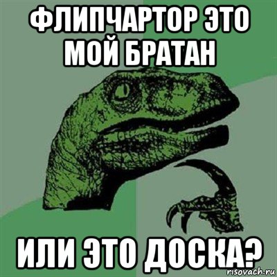 флипчартор это мой братан или это доска?, Мем Филосораптор