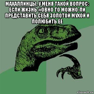 махаллинцы, у меня такой вопрос: если жизнь #овно то можно-ли представить себя золотой мухой и полюбить ее , Мем Филосораптор