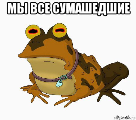 мы все сумашедшие , Мем  гипножаба