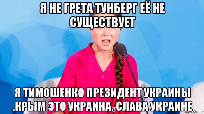 я не грета тунберг её не существует я тимошенко президент украины .крым это украина. слава украине