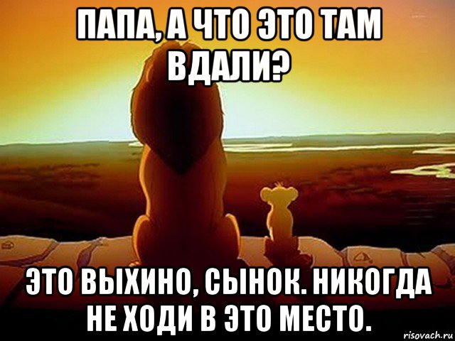 папа, а что это там вдали? это выхино, сынок. никогда не ходи в это место., Мем  король лев