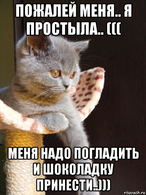 Лакс отдайся не пожалеешь. Я простыла. Картинки я болею пожалей. Картинки я простыла. Болею я пожалей меня.
