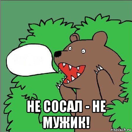  не сосал - не мужик!, Мем Медведь-шлюха