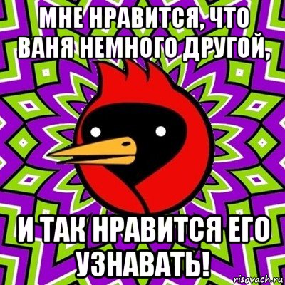 мне нравится, что ваня немного другой, и так нравится его узнавать!, Мем Омская птица