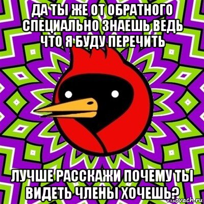 да ты же от обратного специально знаешь ведь что я буду перечить лучше расскажи почему ты видеть члены хочешь?, Мем Омская птица