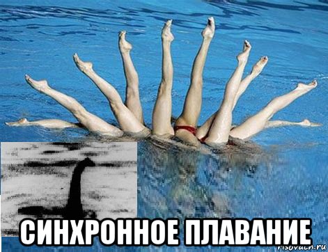 Плавание Мемы