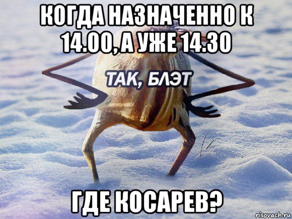 когда назначенно к 14.00, а уже 14.30 где косарев?, Мем  Так блэт птица с руками