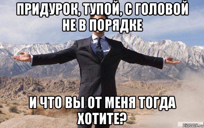 придурок, тупой, с головой не в порядке и что вы от меня тогда хотите?, Мем железный человек