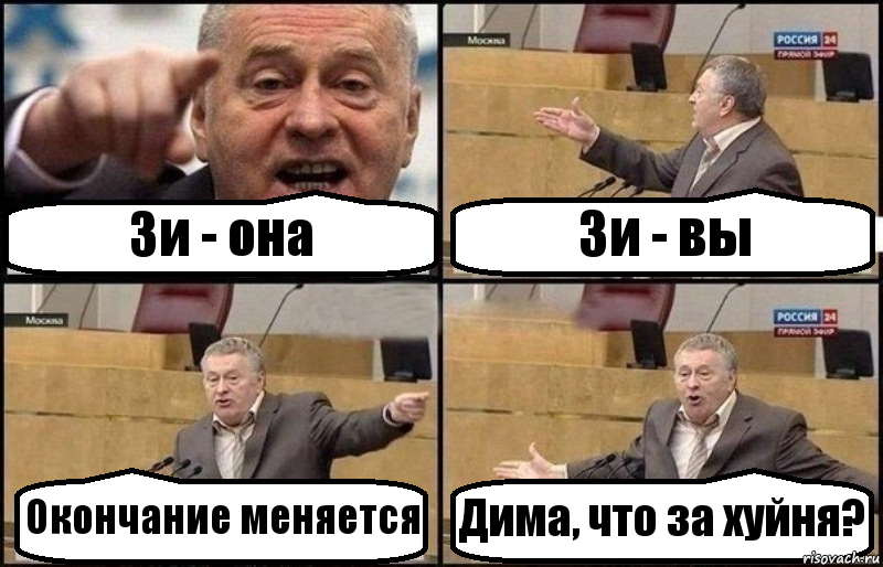 Зи - она Зи - вы Окончание меняется Дима, что за хуйня?, Комикс Жириновский