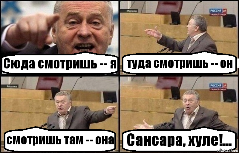 Сюда смотришь -- я туда смотришь -- он смотришь там -- она Сансара, хуле!..., Комикс Жириновский