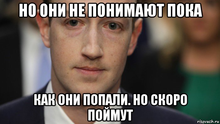 Быстро понимающий. Цукерберг ты спишь? Мем. МЕТА Meth Марк Цукерберг Мем. Скоро/как/понять. Понял пока.