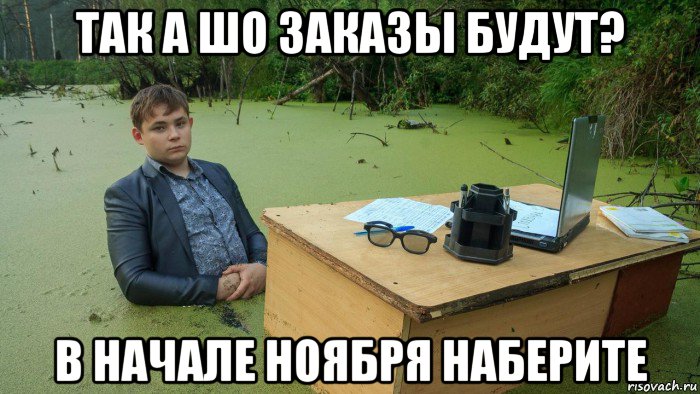 так а шо заказы будут? в начале ноября наберите, Мем  Парень сидит в болоте