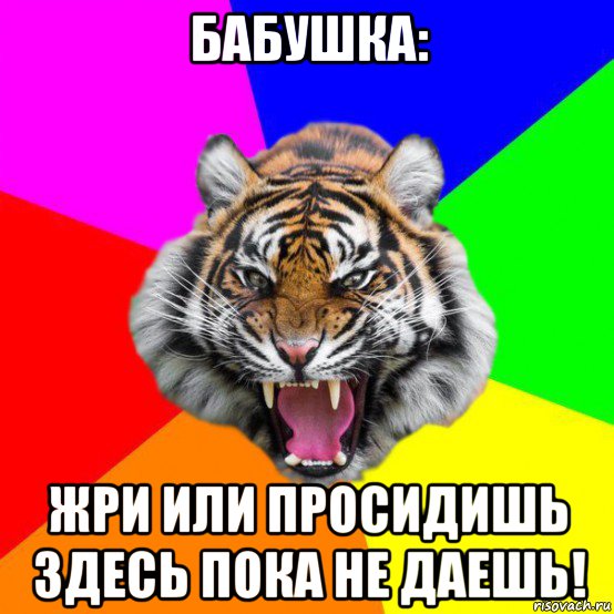 бабушка: жри или просидишь здесь пока не даешь!, Мем  ДЕРЗКИЙ ТИГР