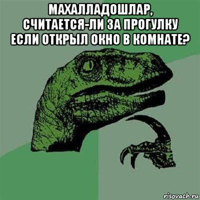 махалладошлар, считается-ли за прогулку если открыл окно в комнате? , Мем Филосораптор